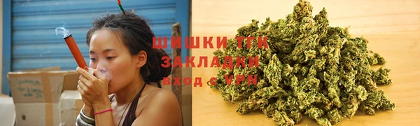 дживик Наволоки