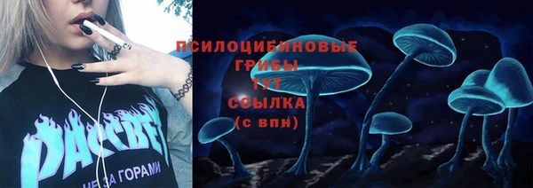 дживик Наволоки