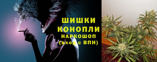 сатива Навашино